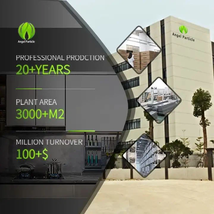 Automatic Lifting Clothes Rail